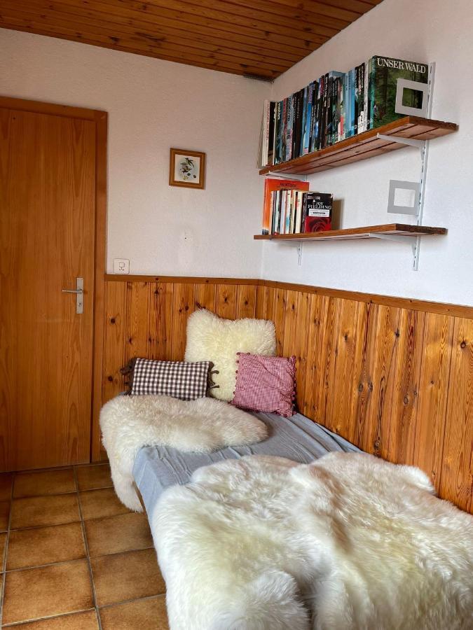 Gemuetliche Wohnung Mit Traumaussicht! 阿尔宾内 外观 照片